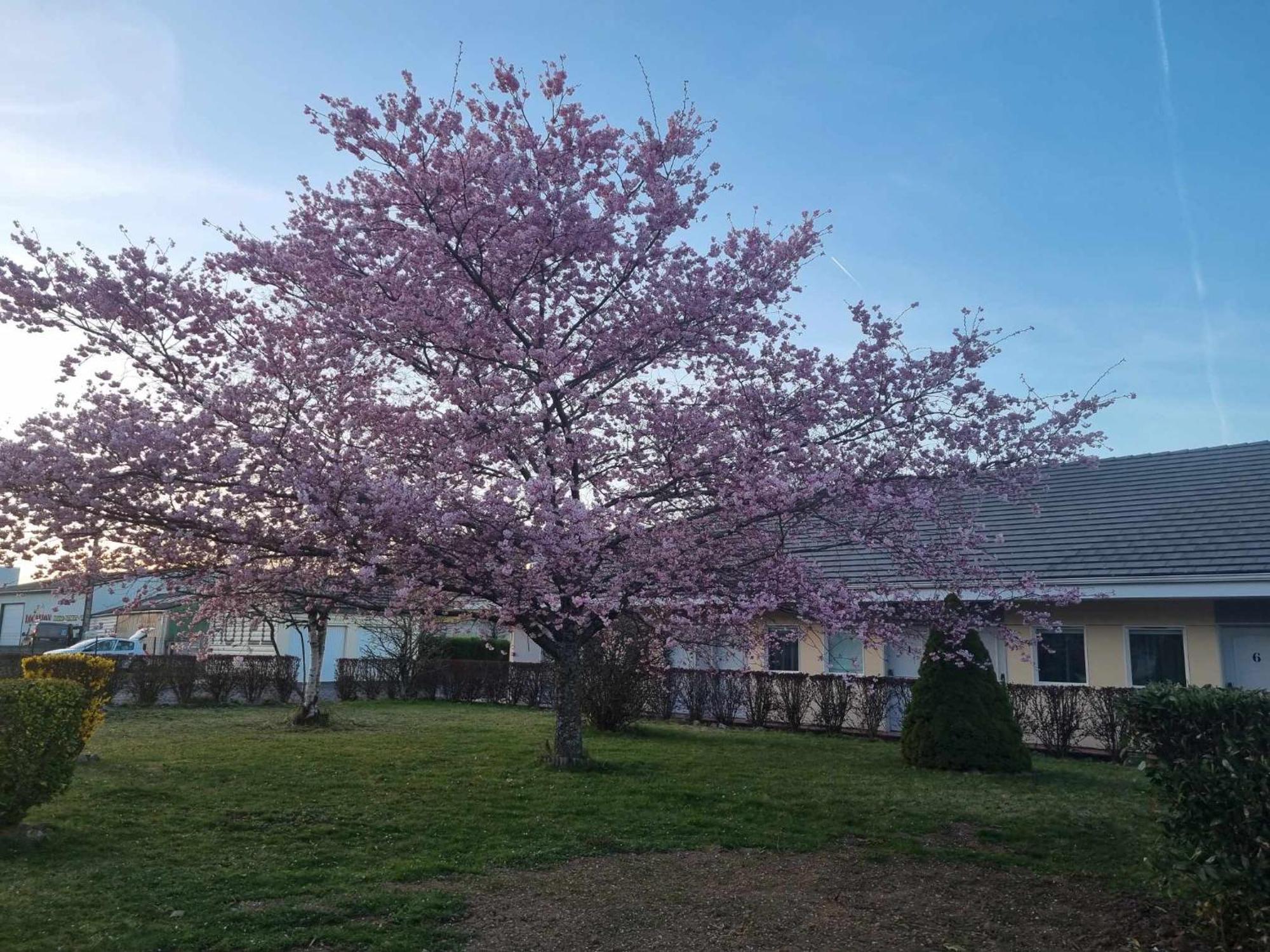 The Originals Access, Hotel Le Lutea Riom-es-Montagnes Екстер'єр фото